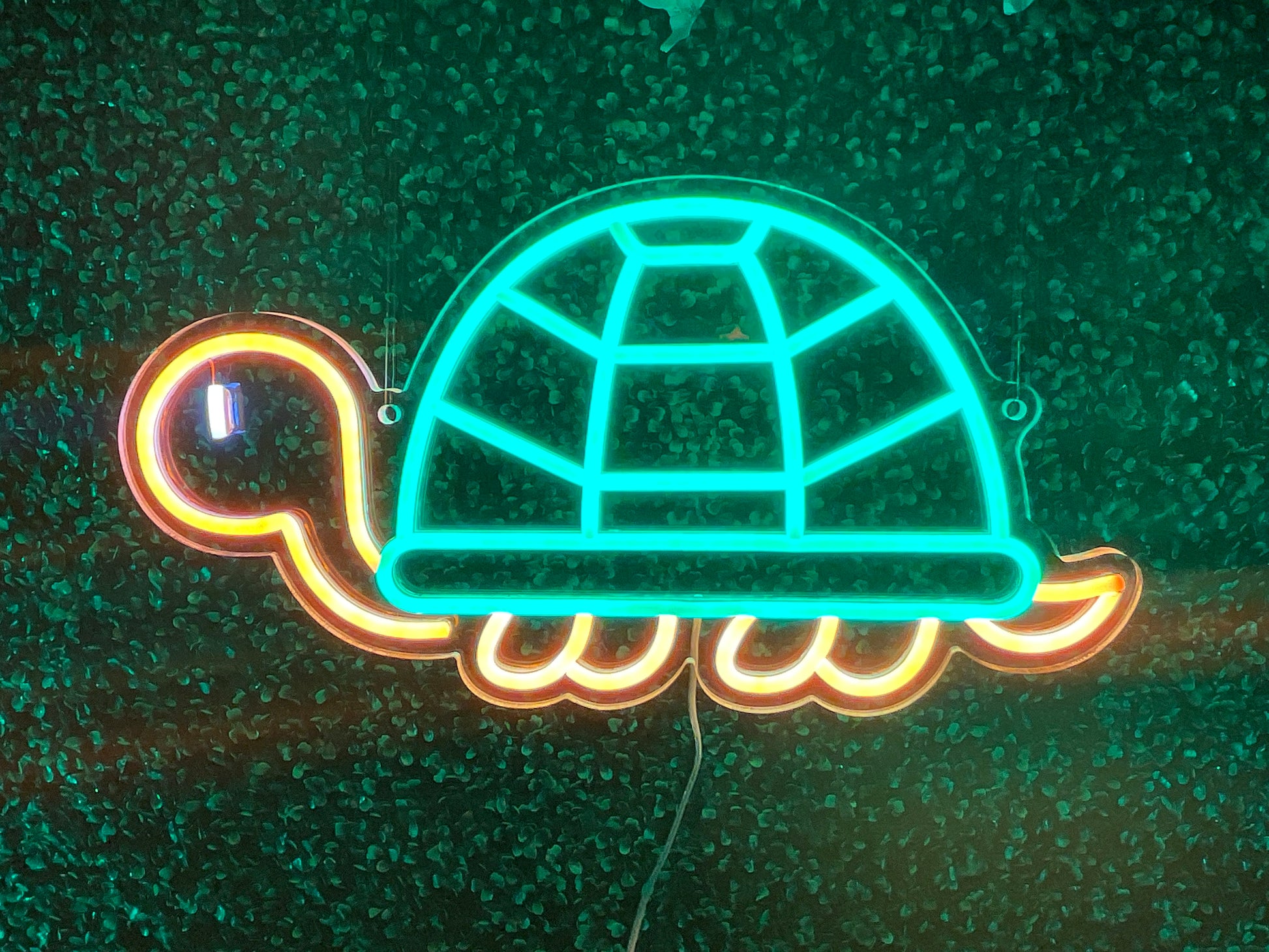 Turtle Neon Sign