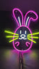 Easter Bunny Home Decor - Colored Egg Neon Sign - Easter Sunday Sign